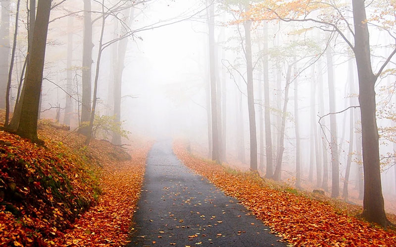 Islam and the Modern Man