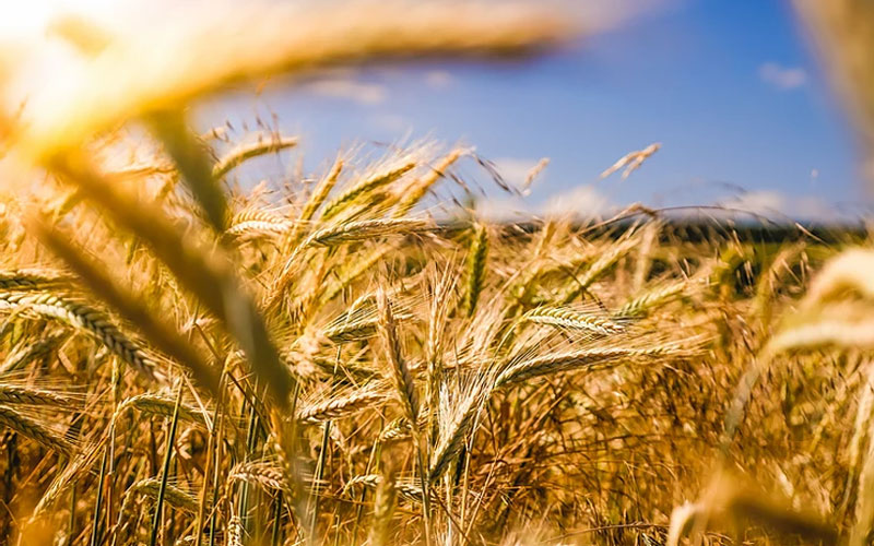 Signs Of Spiritual Health